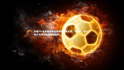 熊猫TV-金直塞球员榜单揭晓，维尔茨、厄德高、恰尔汗奥卢与伊涅斯塔荣登前列