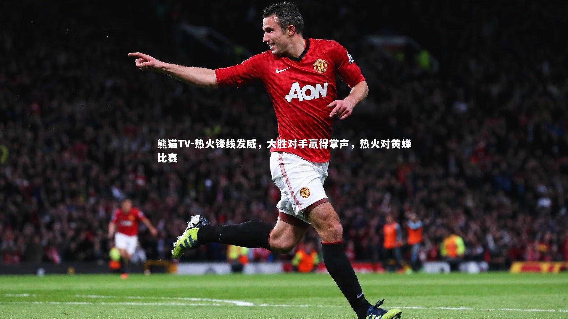 热火锋线发威，大胜对手赢得掌声，热火对黄蜂比赛