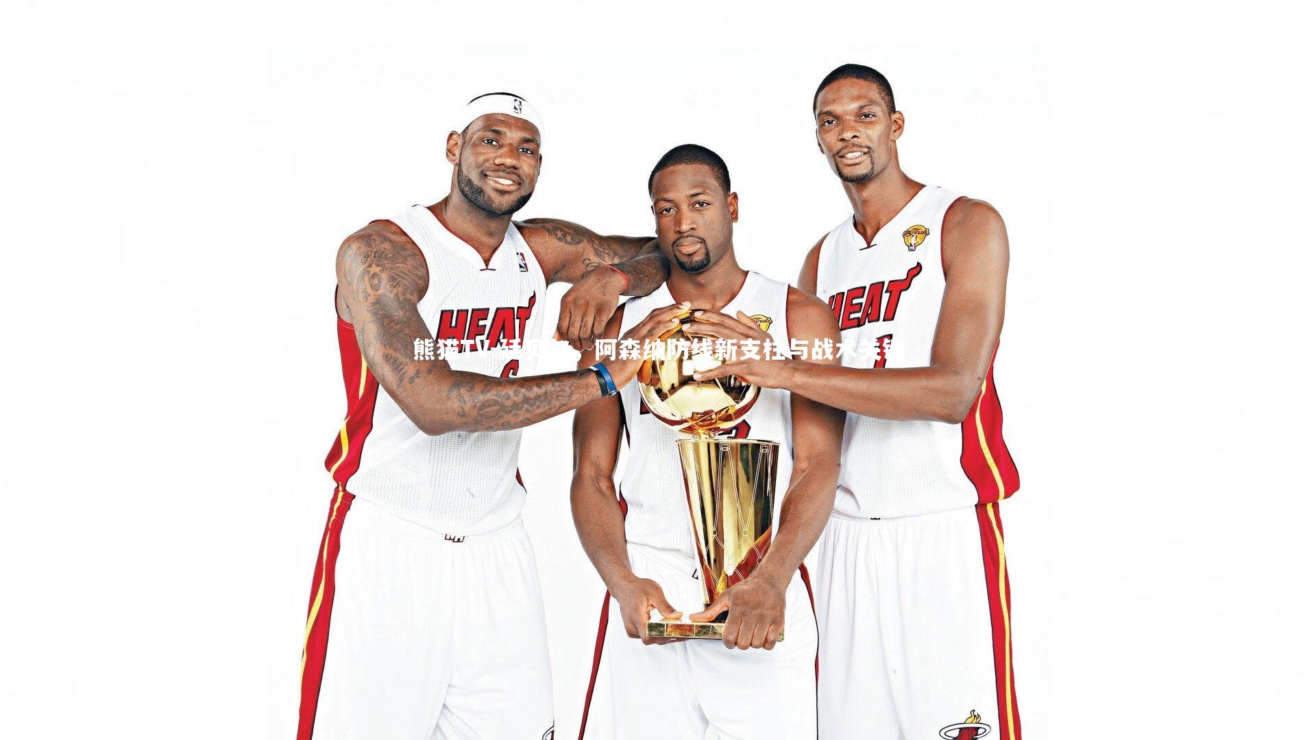 廷贝尔，阿森纳防线新支柱与战术关键